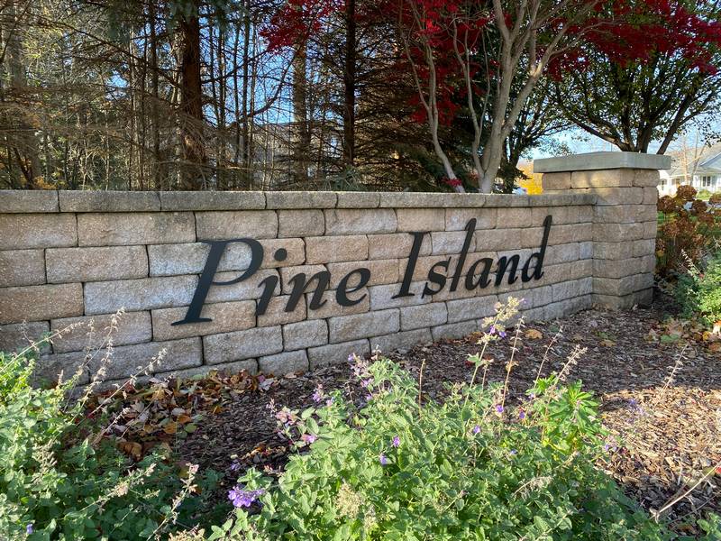 Pine Island