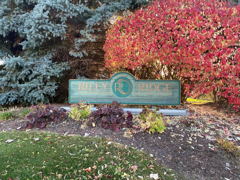 Riley Ridge Holland MI