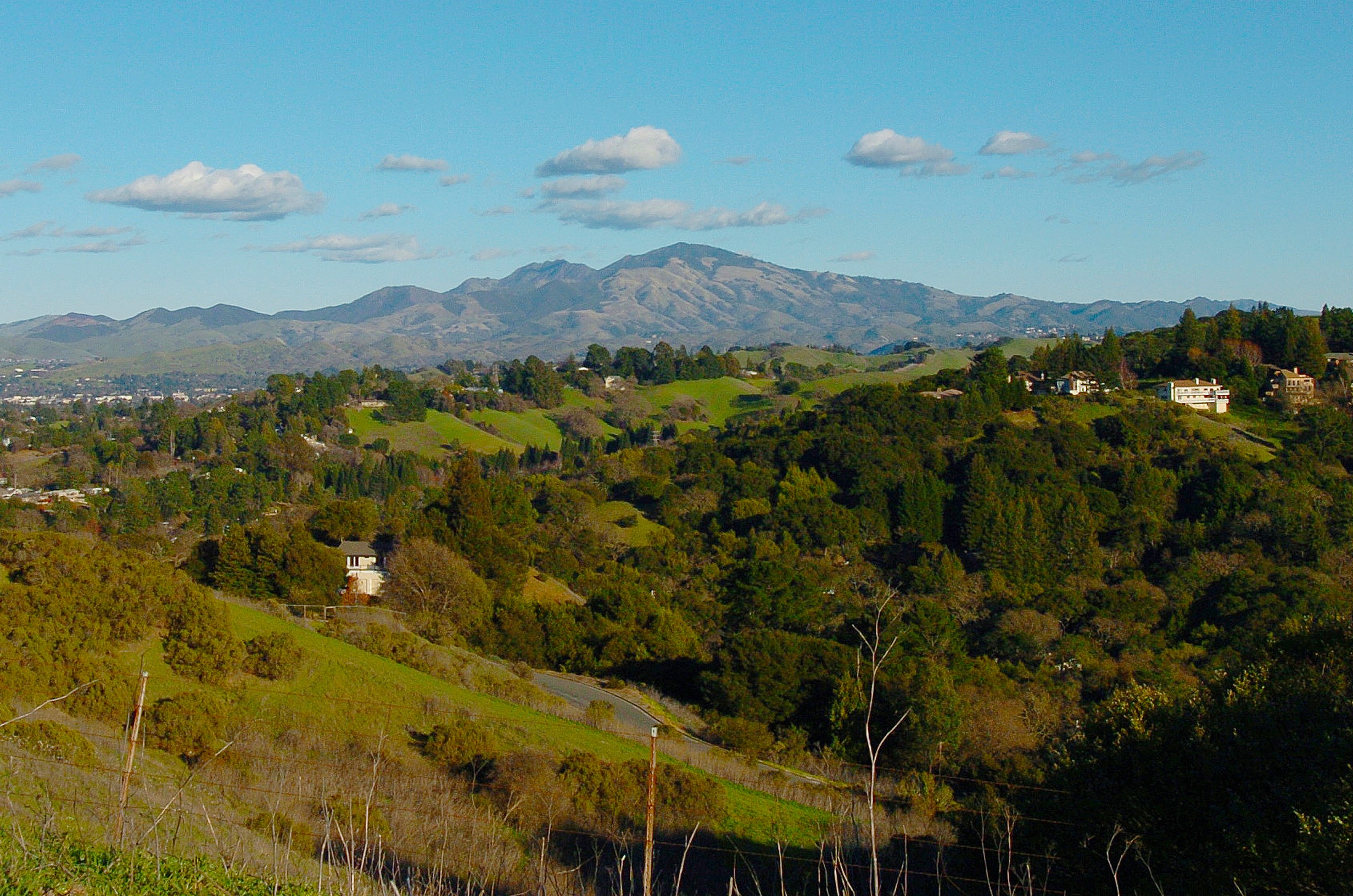 Alamo CA Real Estate, Homes, Condos for Sale Kailani Kimoto