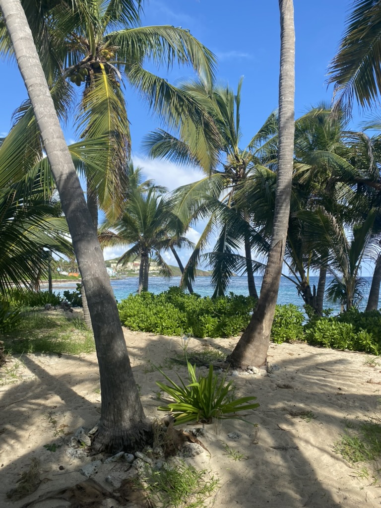 Karen Brin - Calabash Real Estate business image