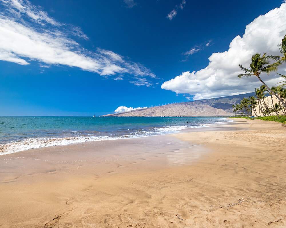 Maui Real Estate Maui Homes for Sale