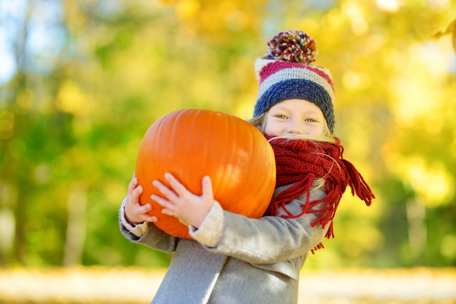 Celebrate autumn near Monroe homes at the harvest festival and zombie run.