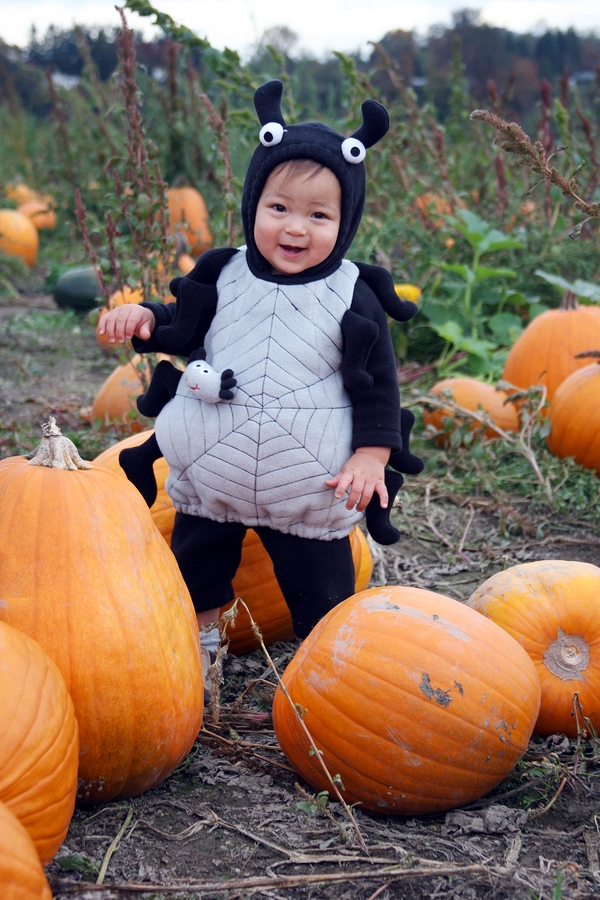 Find pumpkins near Snohomish homes at Bob's Corn and Farm.