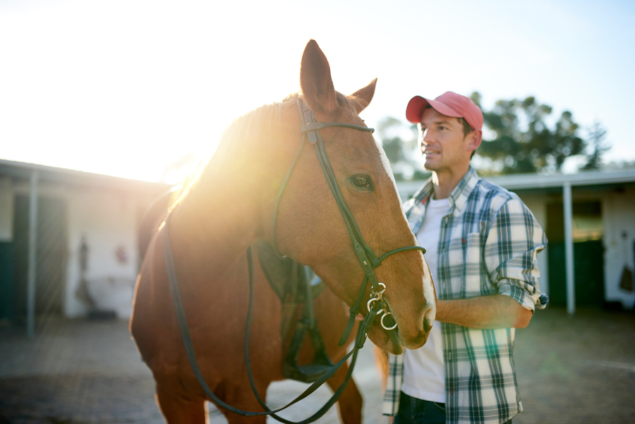 Monroe Real Estate Owners Run the H3 Horses Healing Heroes 5K