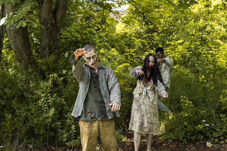 Zombies living in Snohomish walk for food