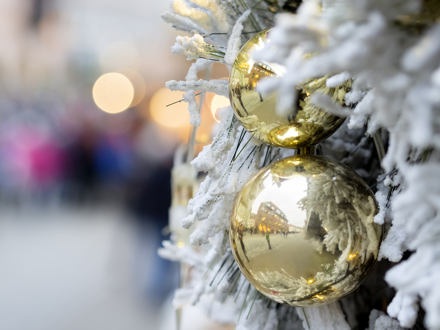 Go to the holiday market near Snohomish homes.