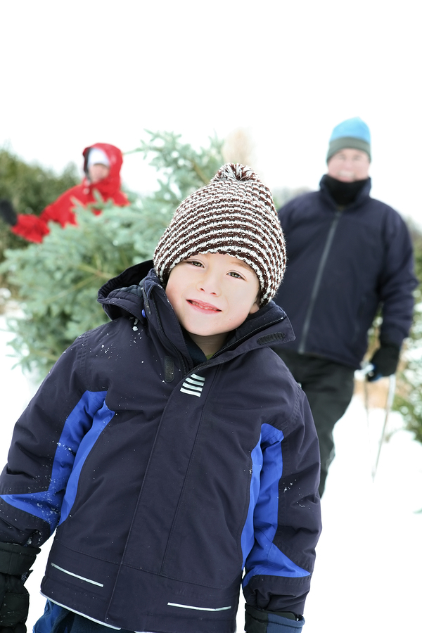 Find a Christmas tree near your Lake Stevens home.