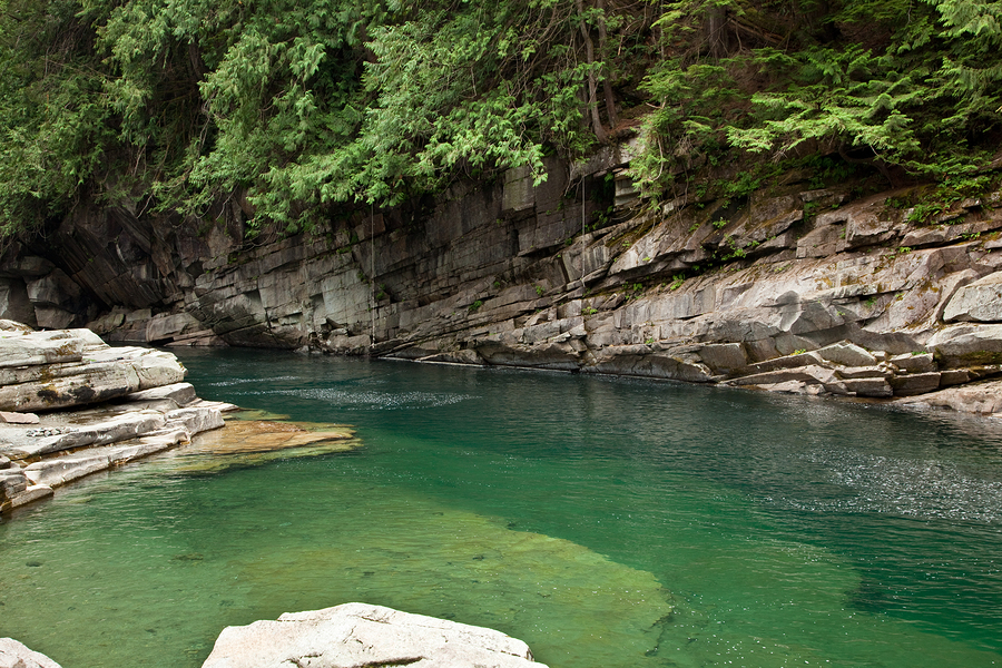 Explore Public Monroe Real Estate at Al Borlin Park