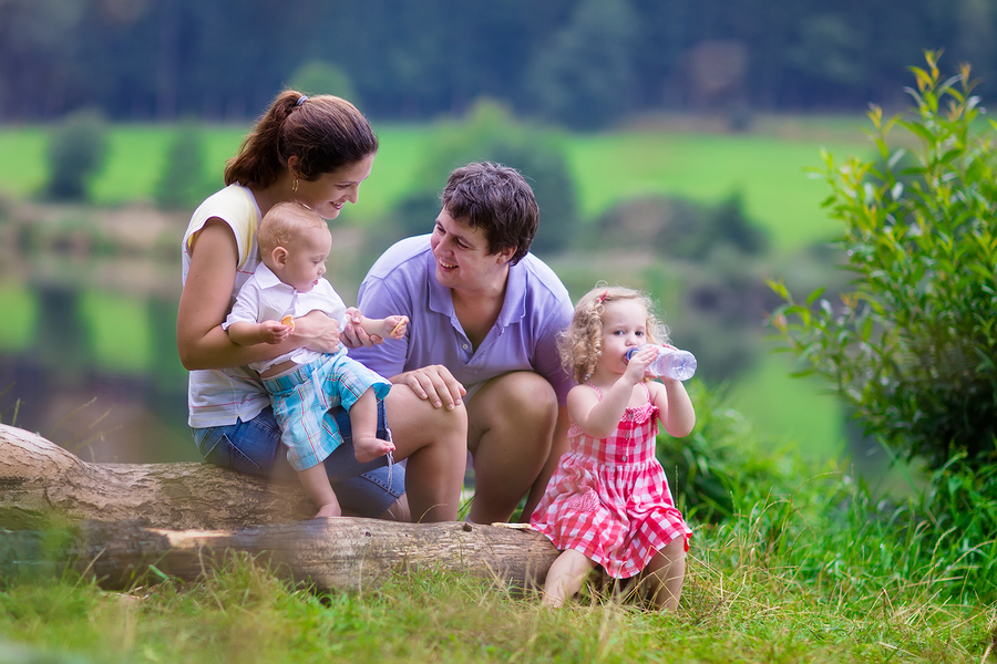Visit the park on Lake Stevens real estate.