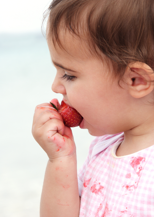 Get Fresh Produce Near Snohomish Homes at Maltby Produce Market