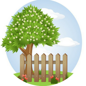 Why we did a backyard makeover