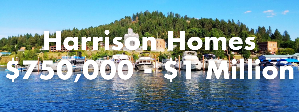 Harrison Idaho Homes for Sale Between $750,000 - $1 Million