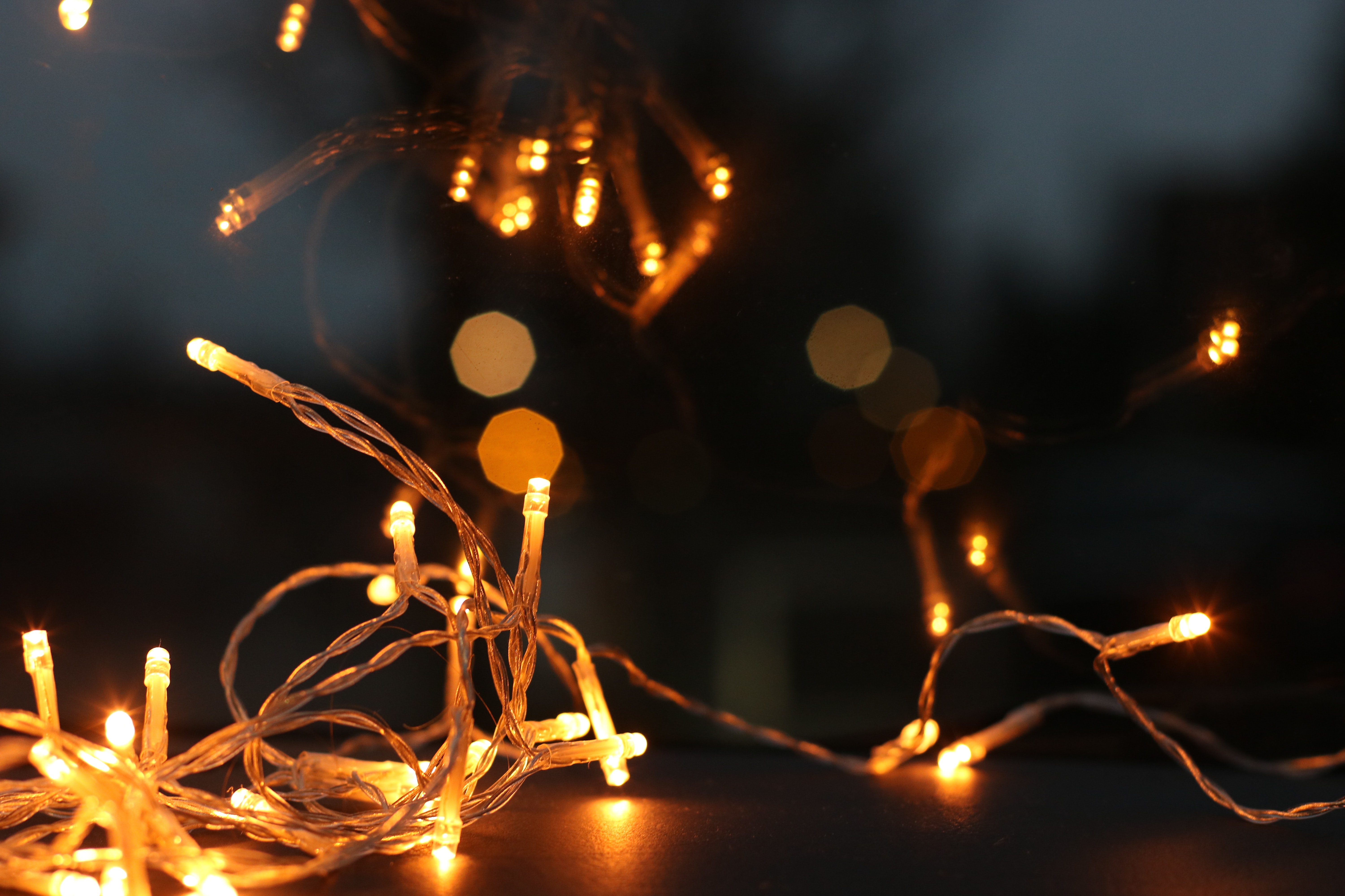 Holiday Lights Cantrell Persinger