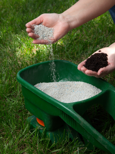 Fertilizing Lawn