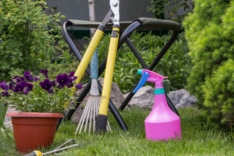 Must-Have Lawn Tools For A Green Yard