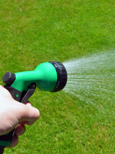 Watering Your Lawn Like a Pro