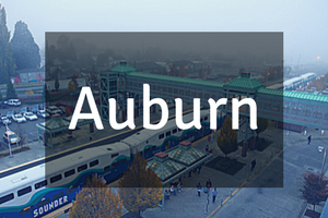 Auburn Homes For Sale