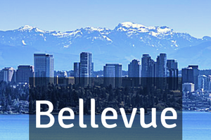 Bellevue Homes For Sale