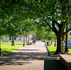 Howarth Park