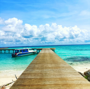 Jetty Island