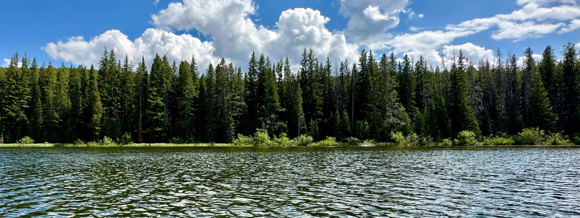 Avondale Lake