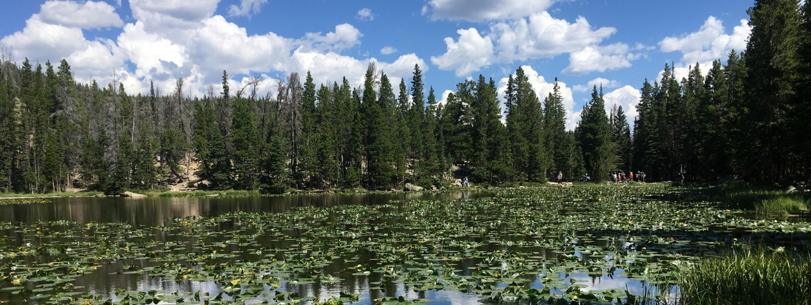 Black Lake