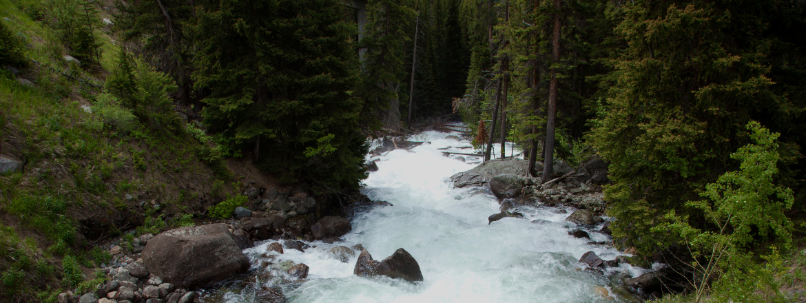 Clark Fork River