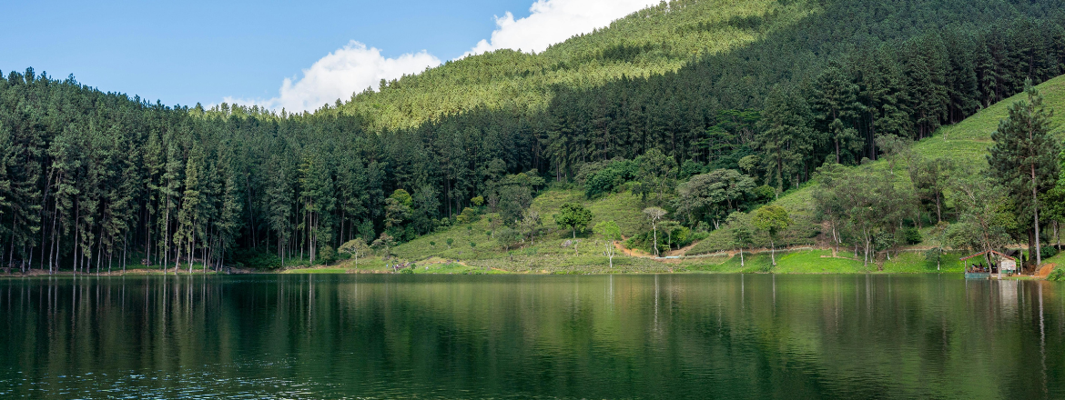 Lake Sans Souci