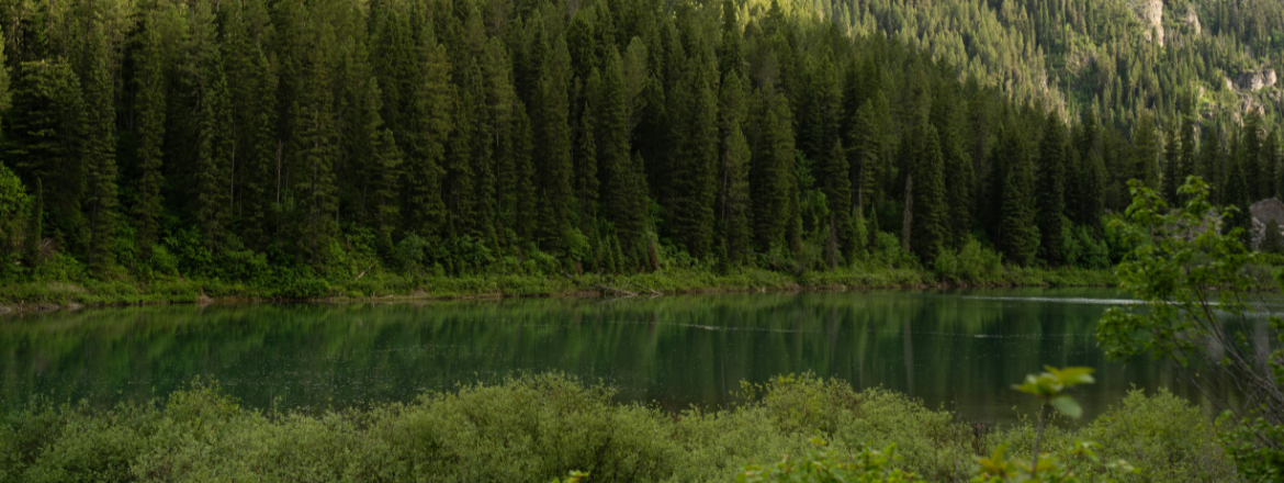 Mirror Lake