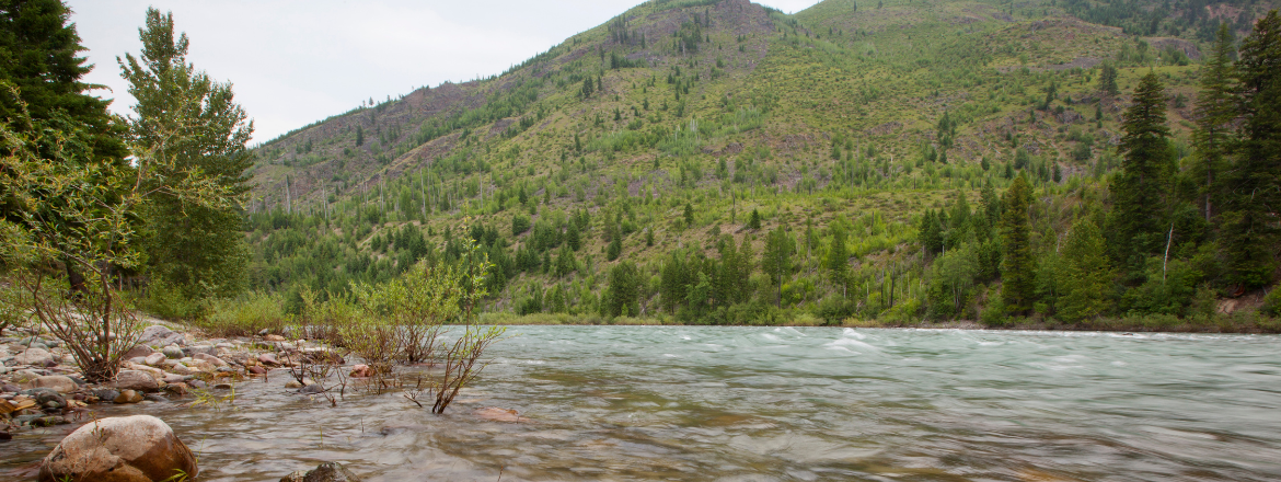 North Fork CDA River