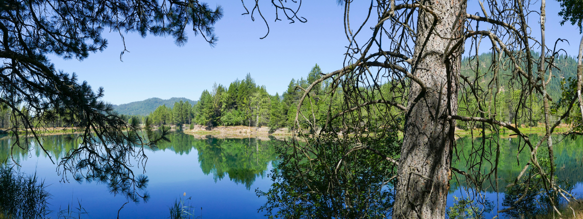 South Fork CDA River