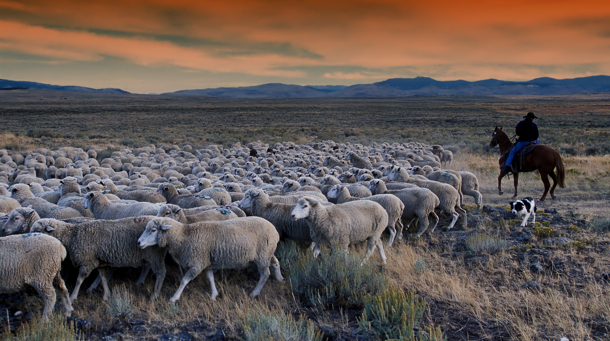 Black Hawk Ranch Community Homes For Sale | Post Falls Real Estate