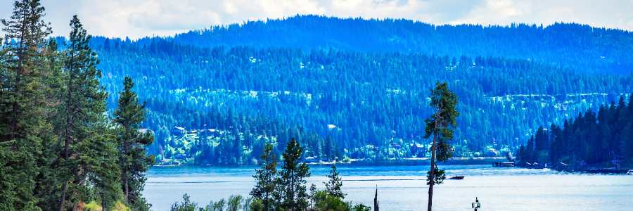 shores of Lake Coeur d'Alene