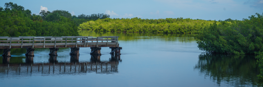 Port Charlotte Florida