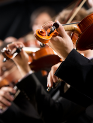 Symphony Orchestra