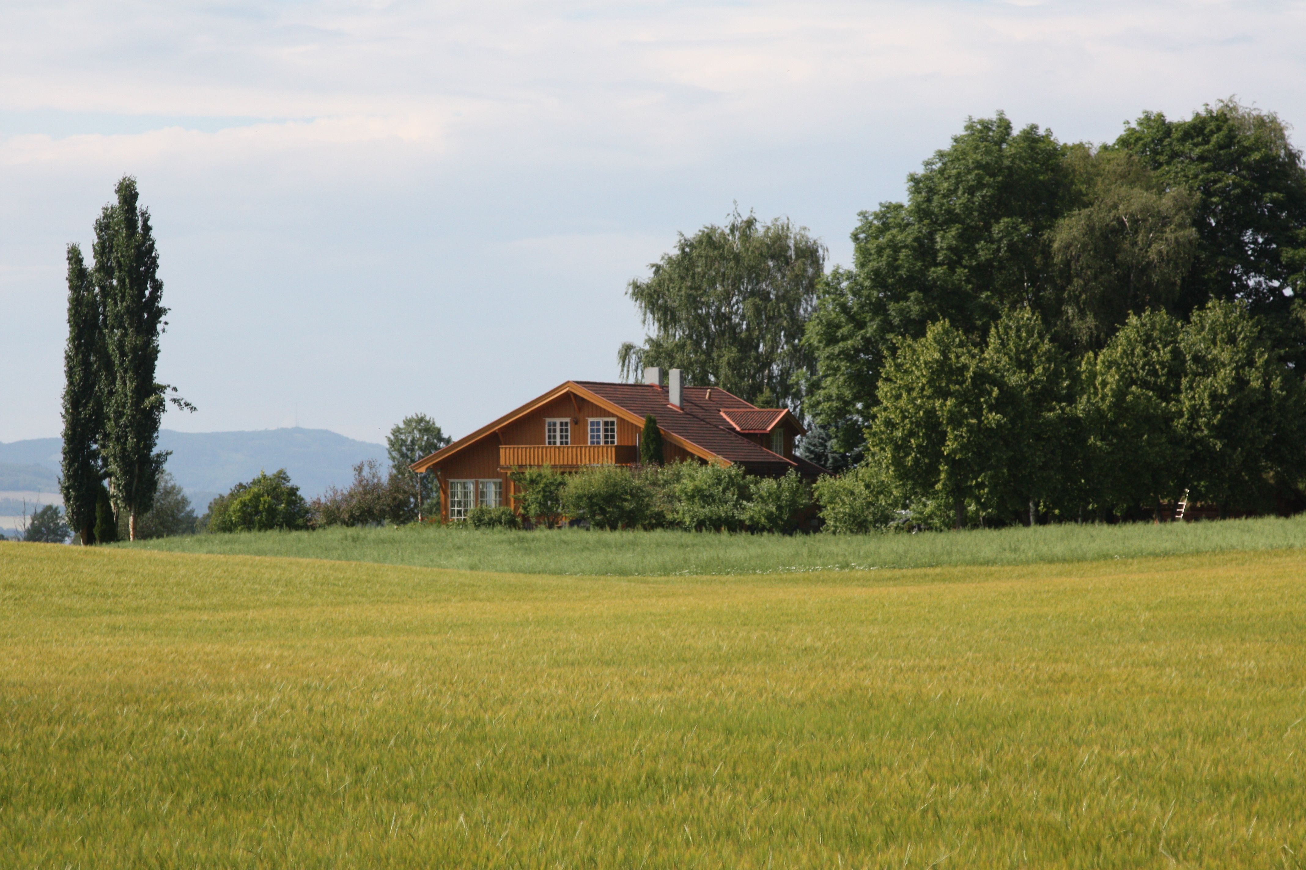 farm house near tall trees