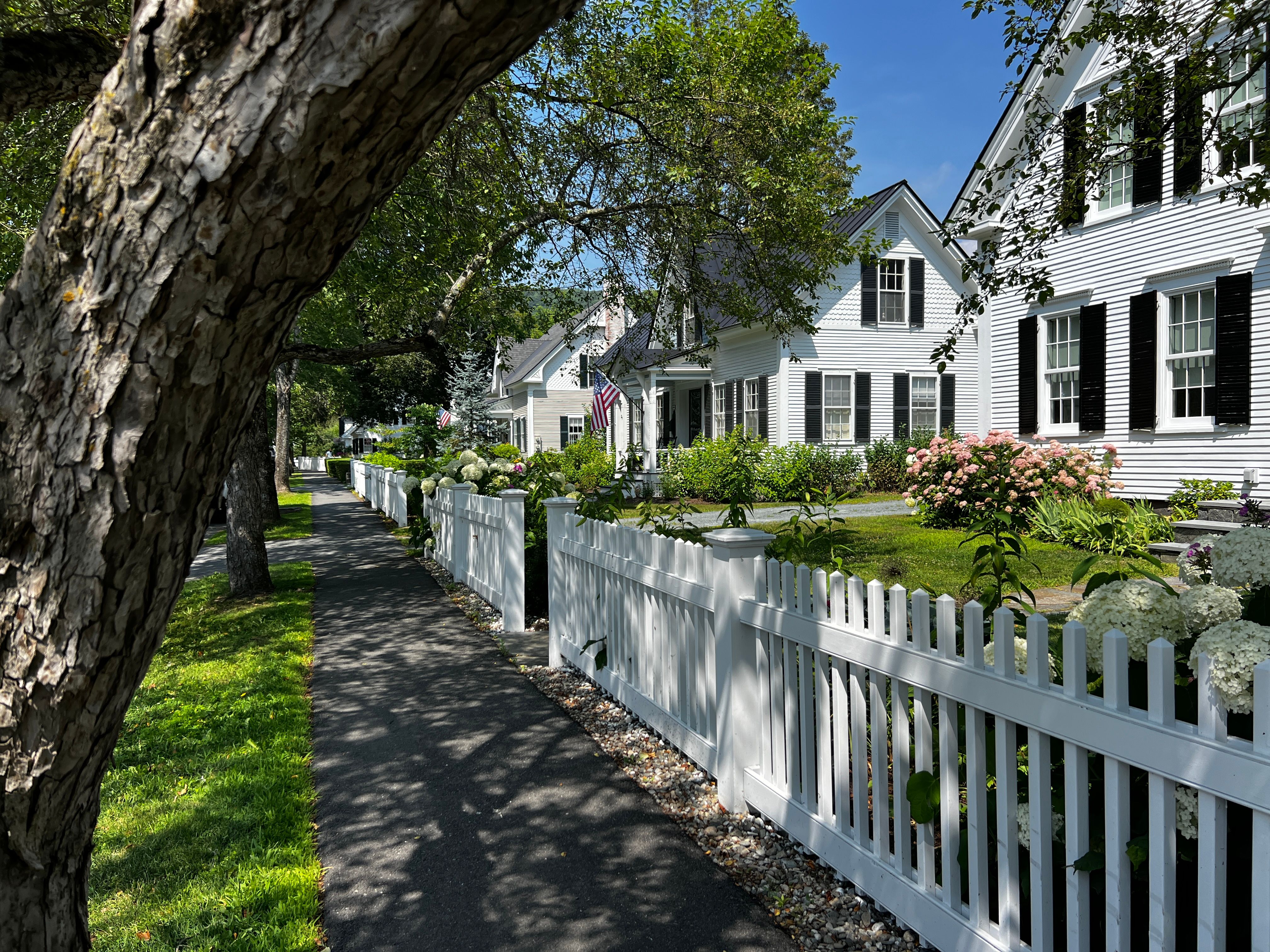 charming new england street with white packet fence