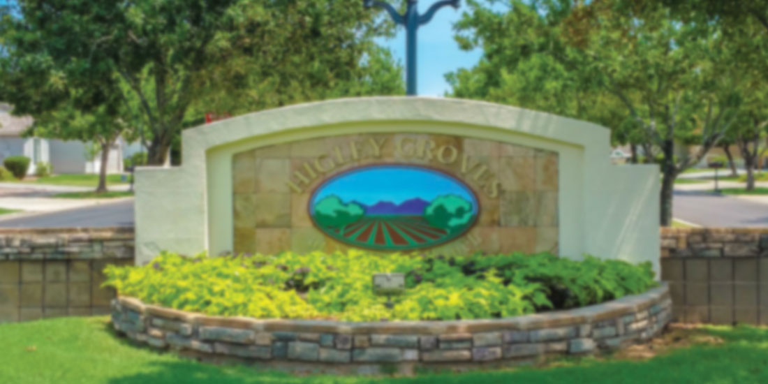 Homes In Higley Groves