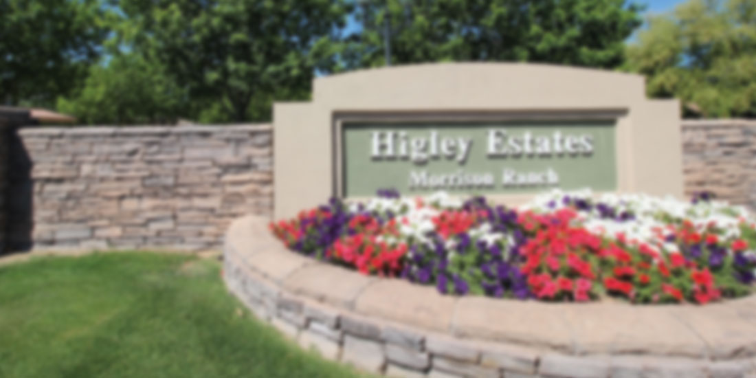 Homes In Higley Estates