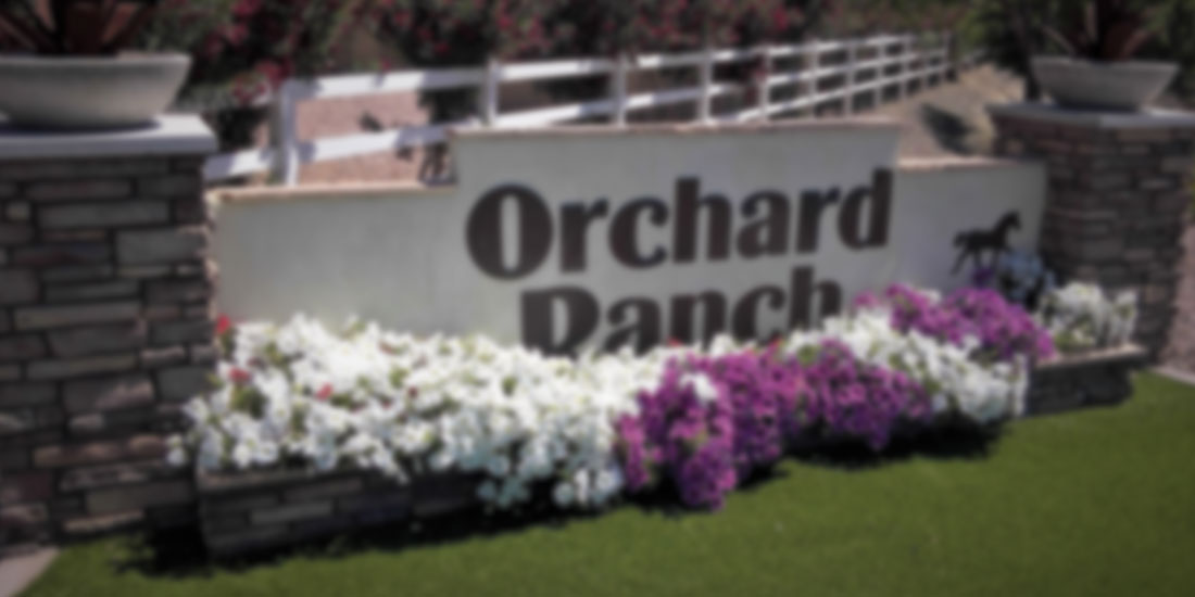 Homes In Orchard Ranch