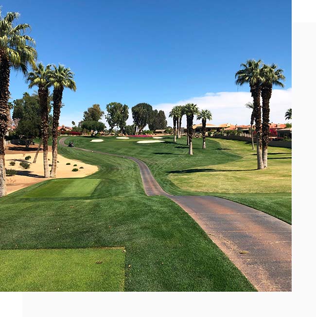 Coachella Valley Homes For Sale Desert Sands Realty