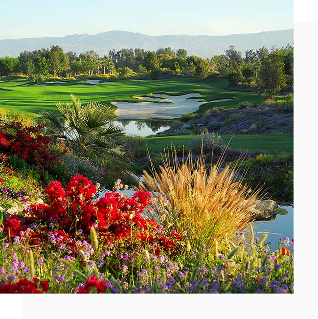 Coachella Valley Homes For Sale Desert Sands Realty