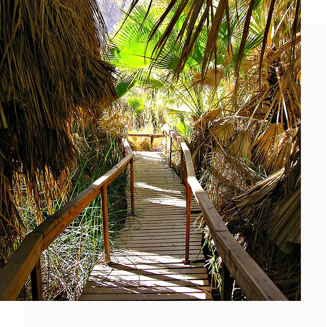 Coachella Valley Homes For Sale Desert Sands Realty