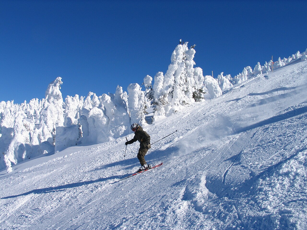 Skier among snow-covered trees at Big White