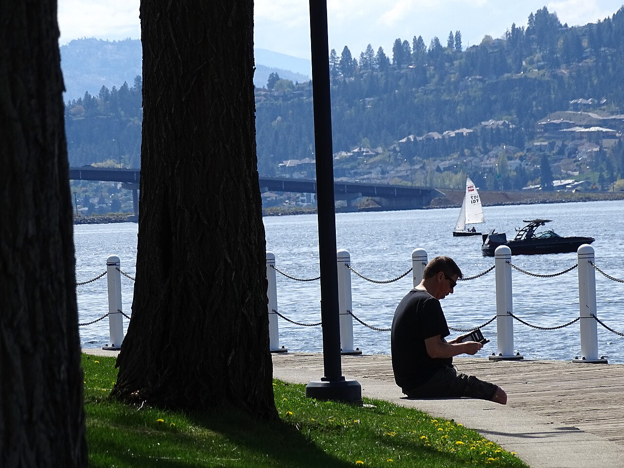 Lakeshore park in downtown Kelowna