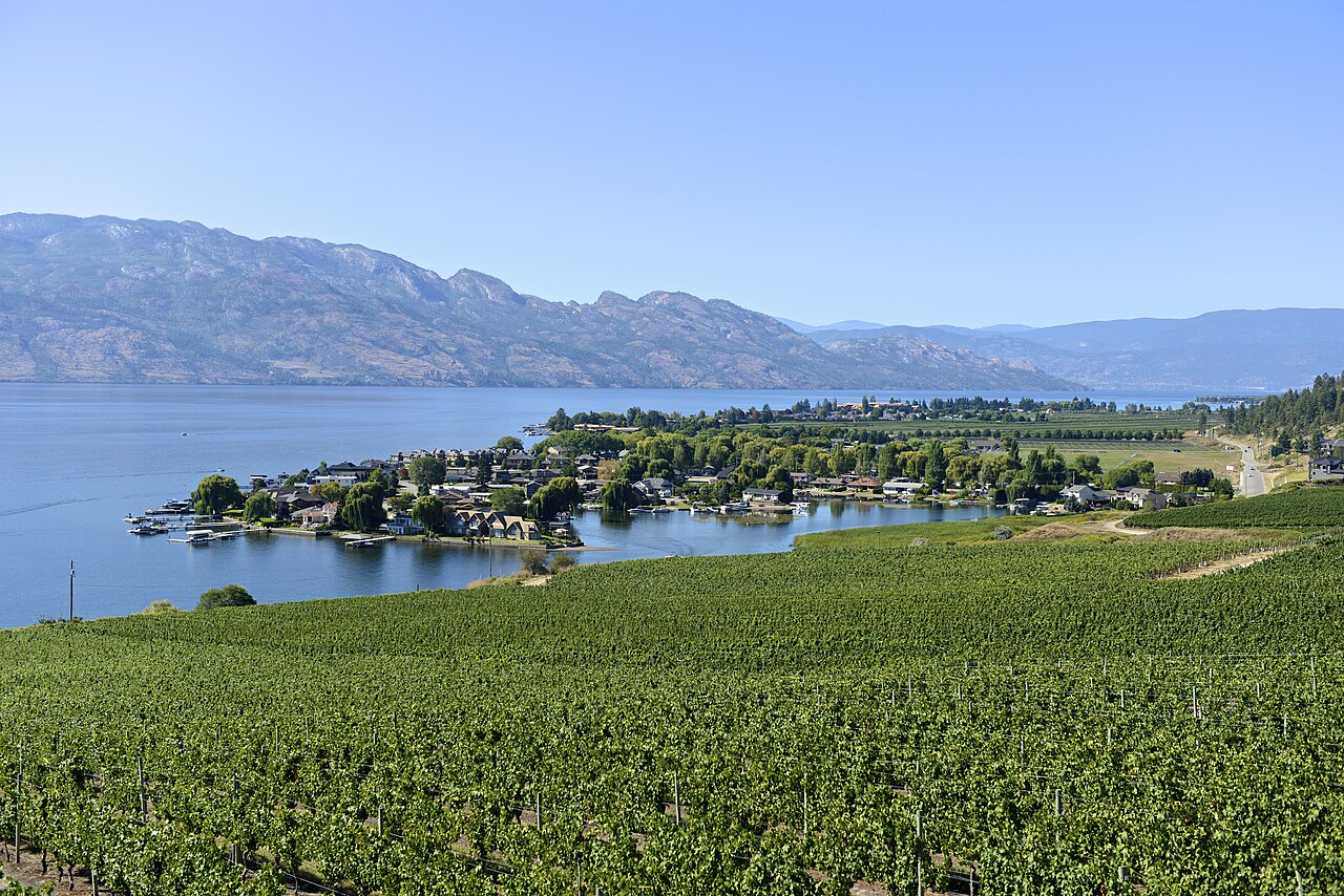 Okanagan Lake shoreline and vineyards, West Kelowna