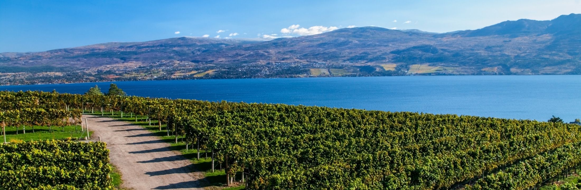 Lakeview Heights Kelowna Local Real Estate