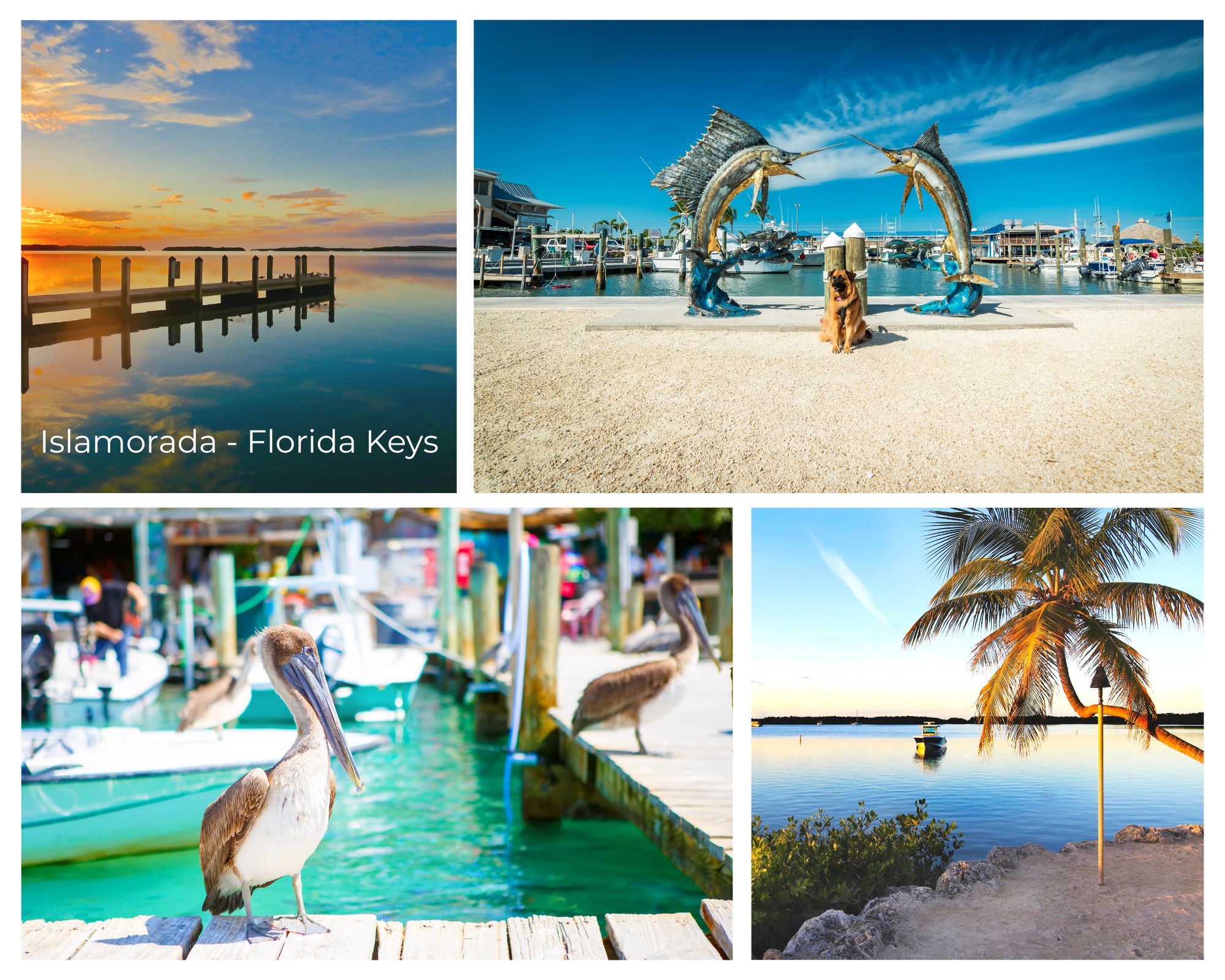 islamorada real estat