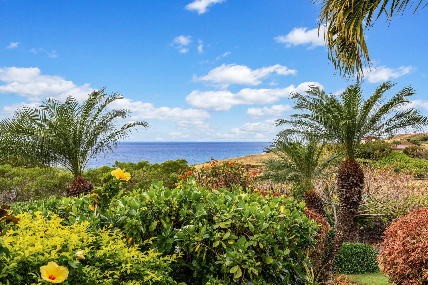 The Big Island of Hawaii Offers Something No Other Hawaiian Island Does?