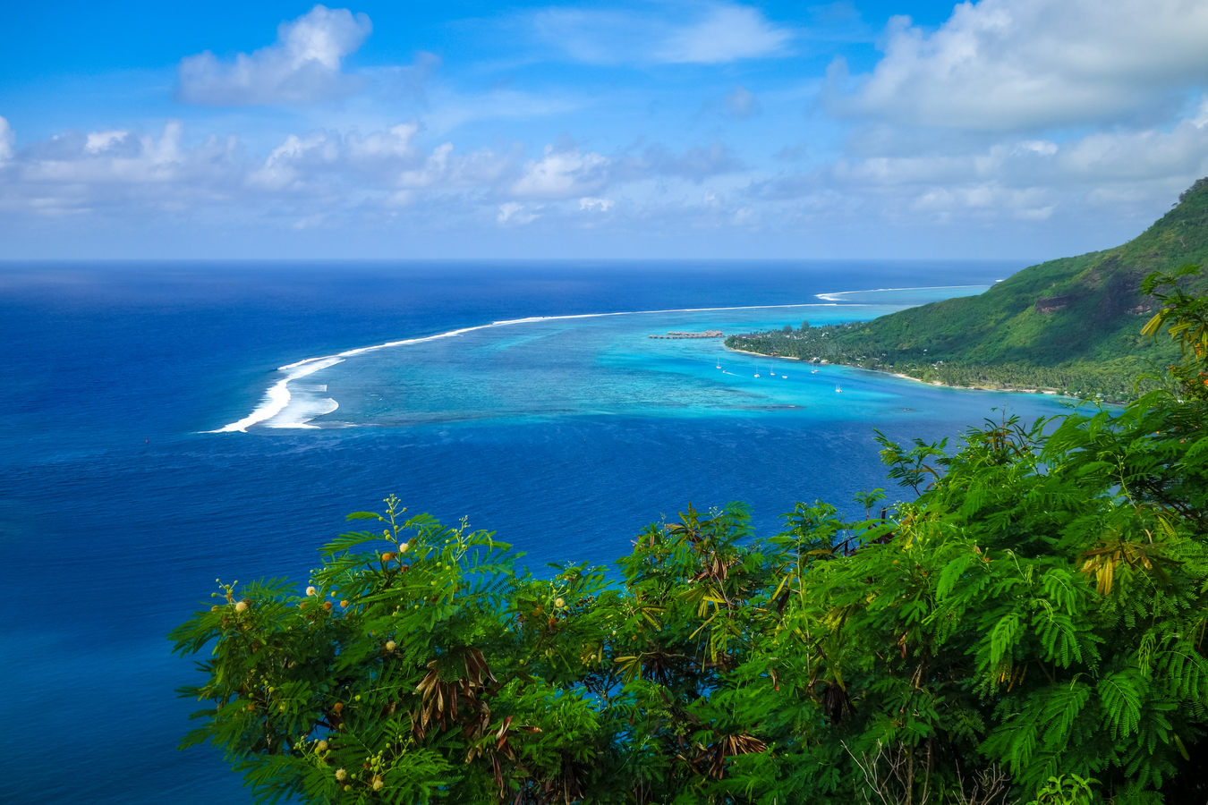 Kohala Coast Premier Luxury Real Estate